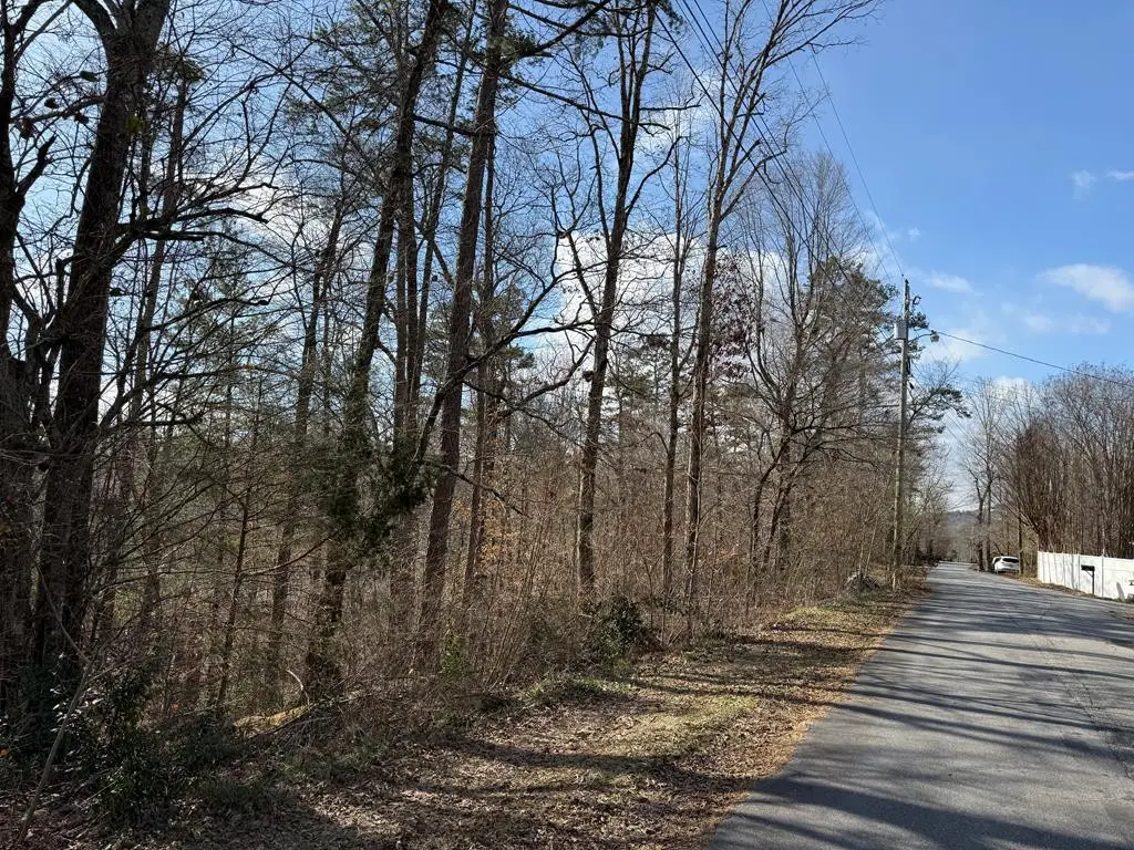 0 Sunrise Street, Murphy, NC 28906 - #1