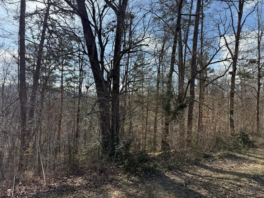 0 Sunrise Street, Murphy, NC 28906 - #2