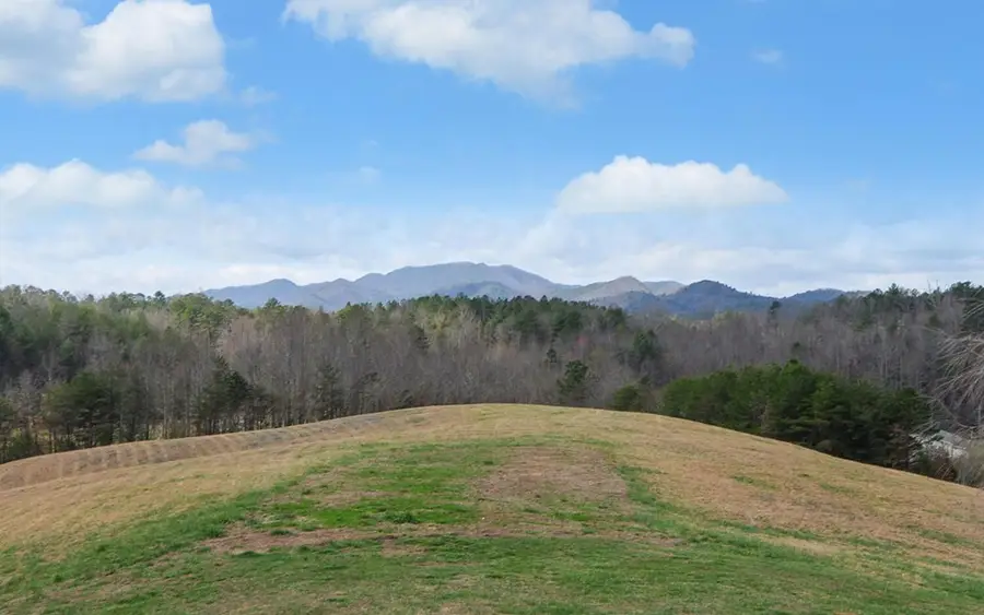 140 Newman Road, Farner, TN 37333 - #2