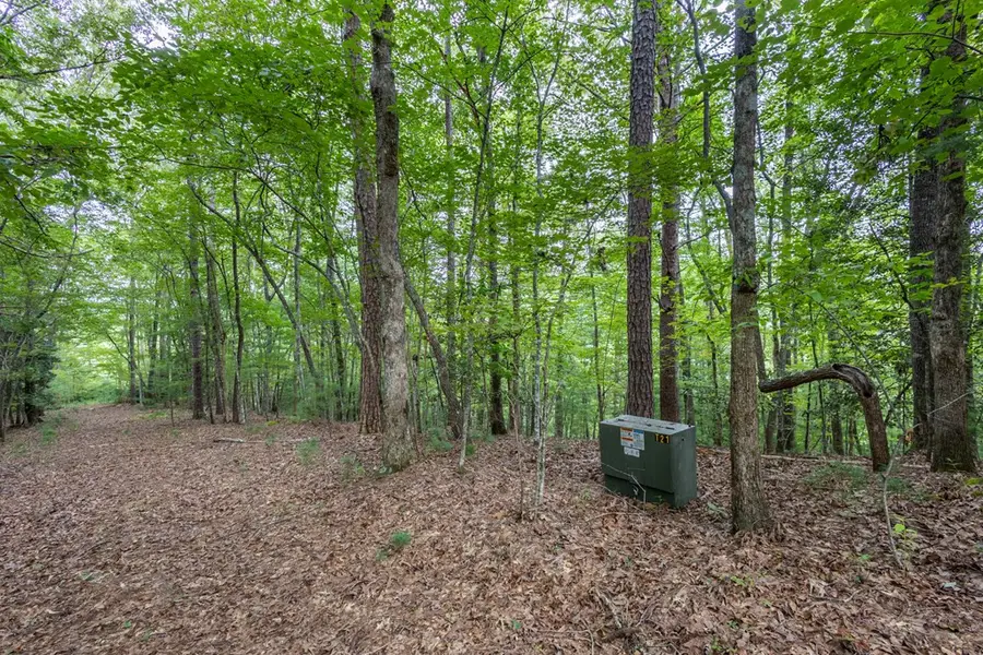 Lot 26 Persimmon Road, Murphy, NC 28906 - #3