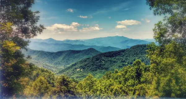 00 E Alarka Road, Bryson City, NC 28713