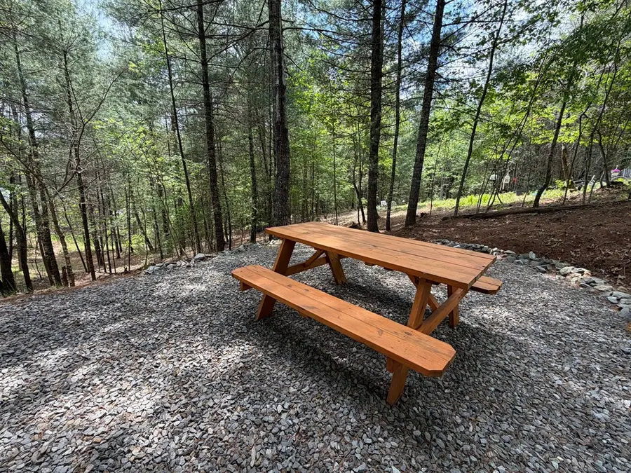 99 Conestoga Trail, Murphy, NC 28906 - #3