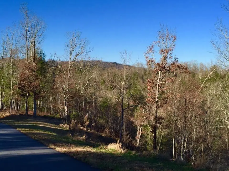 Lot #94 River Mountain Road, Murphy, NC 28906 - #1