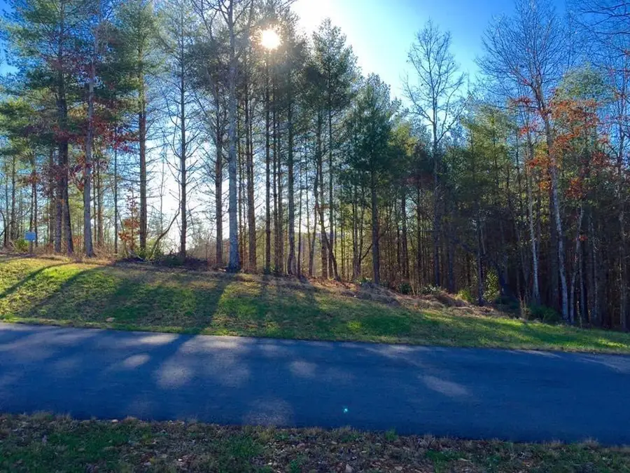 Lot #94 River Mountain Road, Murphy, NC 28906 - #2