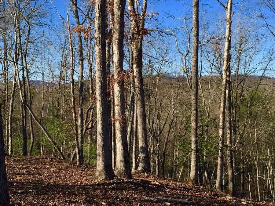 Lot #94 River Mountain Road, Murphy, NC 28906 - #3