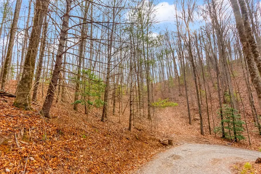 3.45 ac Guy Eller Road, Murphy, NC 28906 - #2