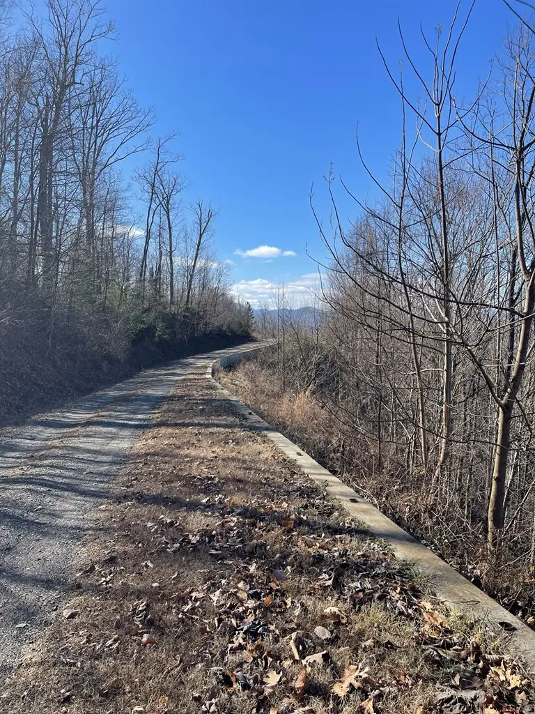 Lot #53M Ridges, Hayesville, NC 28904 - #3