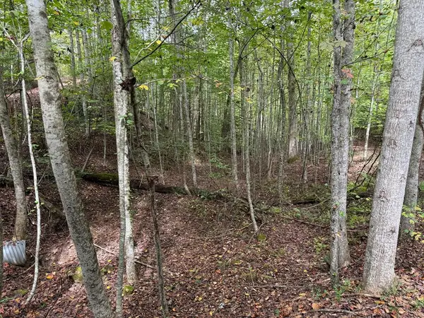 0 Reserve Estates, Murphy, NC 28906