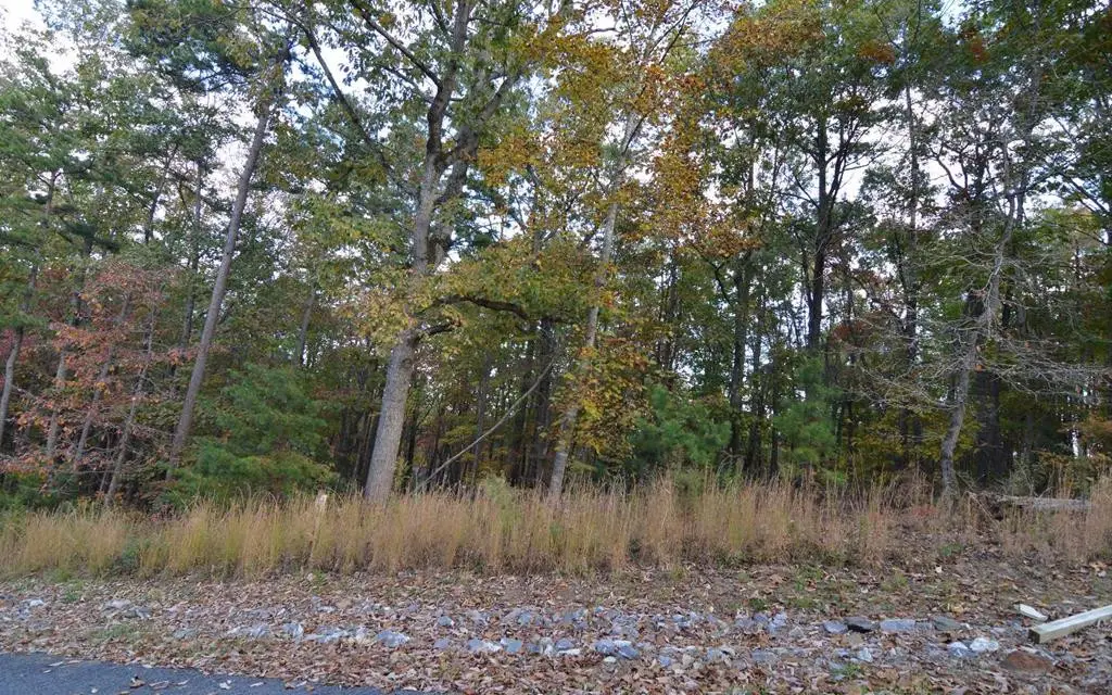 Lot 2 Serenity Ridge, Blairsville, GA 30512 - #1