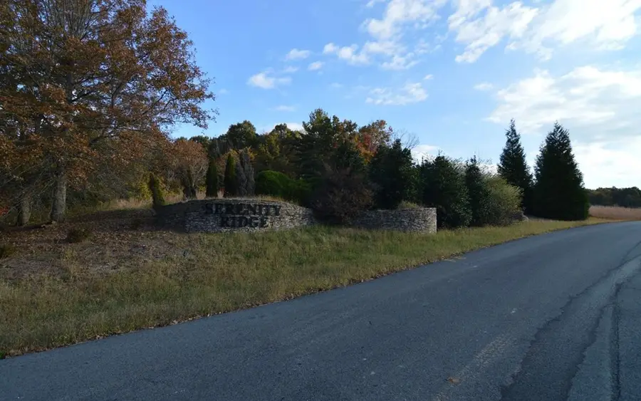 Lot 2 Serenity Ridge, Blairsville, GA 30512 - #3