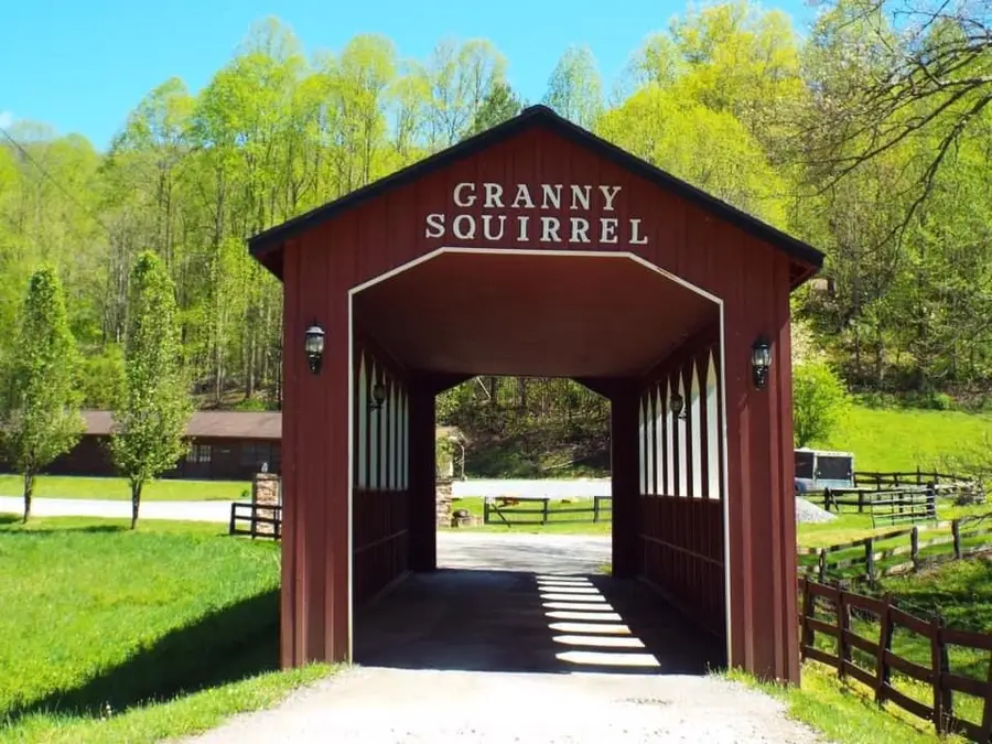 1621 Granny Squirrel Drive, Andrews, NC 28901 - #3