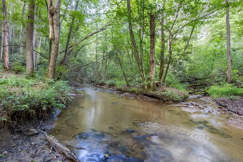 23.59 AC Chestnut Flats Road, Andrews, NC 28901 - #1