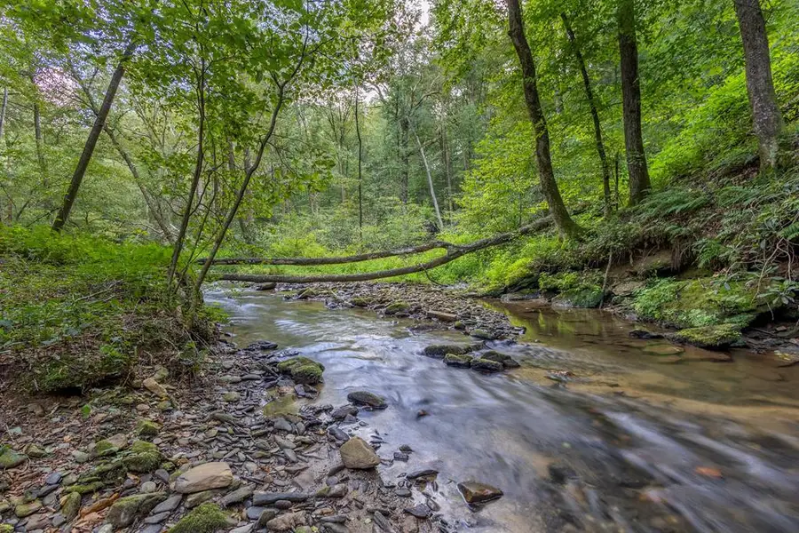 23.59 AC Chestnut Flats Road, Andrews, NC 28901 - #2