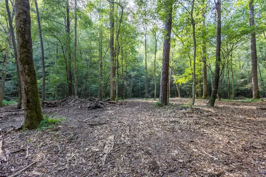 23.59 AC Chestnut Flats Road, Andrews, NC 28901 - #3