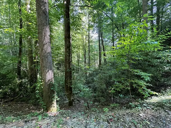 00 Briggs Cove Road, Robbinsville, NC 28771