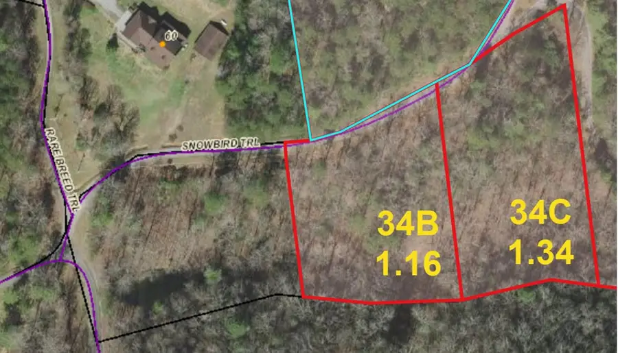 LOT 34C Snowbird Trail, Marble, NC 28905 - #2