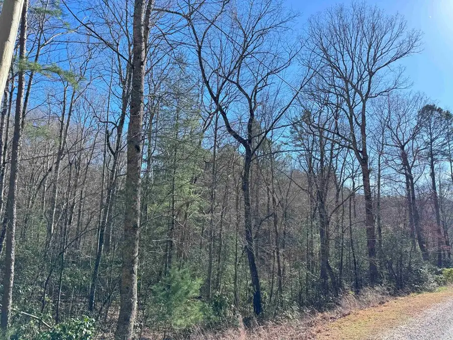 LOT 34C Snowbird Trail, Marble, NC 28905 - #3