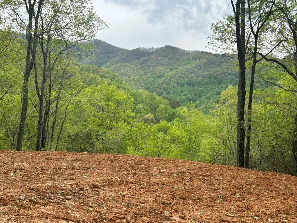 Lot 8 Blackberry Bend, Bryson City, NC 28713 - #1