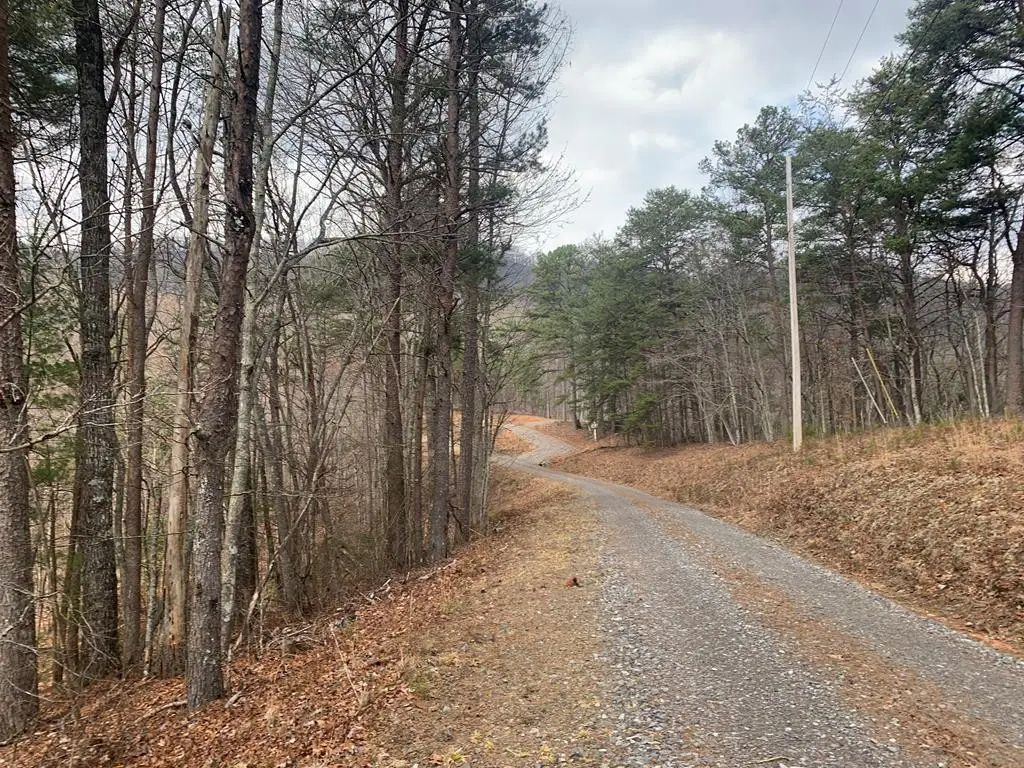 Lot 20 Wolf Ridge Lane, Murphy, NC 28906 - #1