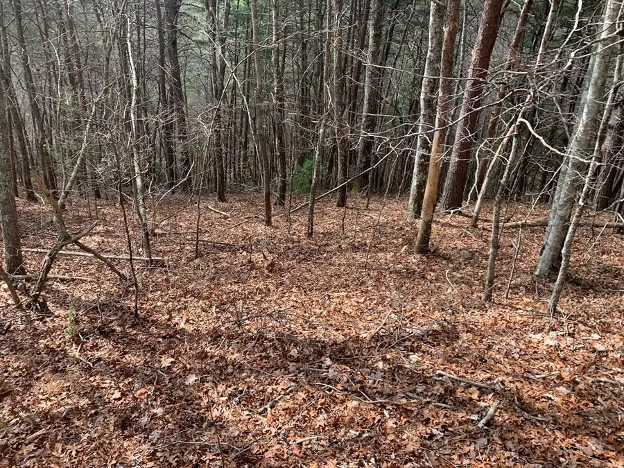 Lot 20 Wolf Ridge Lane, Murphy, NC 28906 - #2