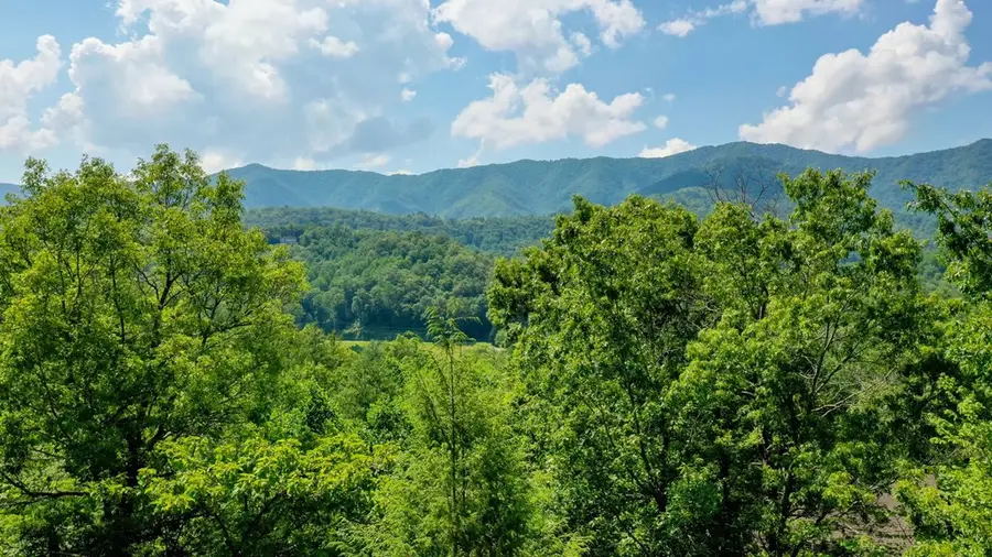 52 Bear Track Road, Andrews, NC 28901 - #2