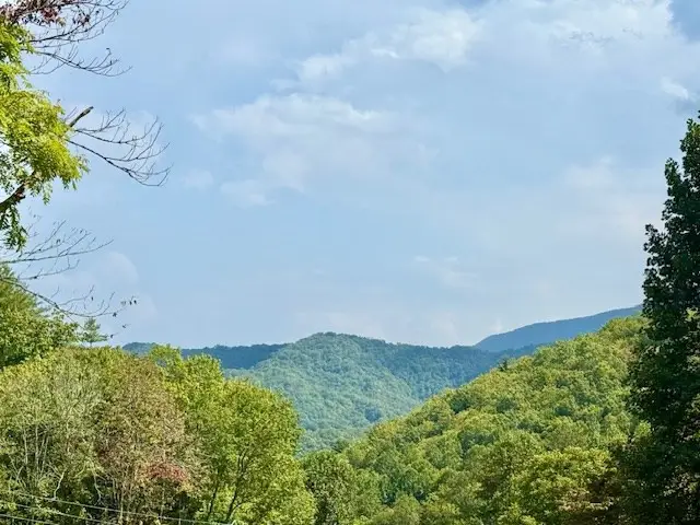 1351 Cody Branch, Robbinsville, NC 28771 - #2