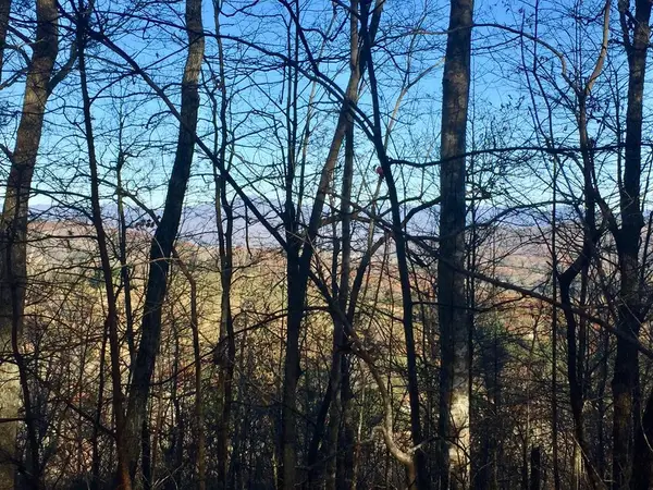 Address Withheld By Seller, Warne, NC 28909