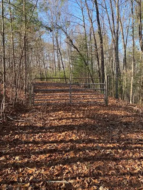 0 Proghorn Lane, Murphy, NC 28906