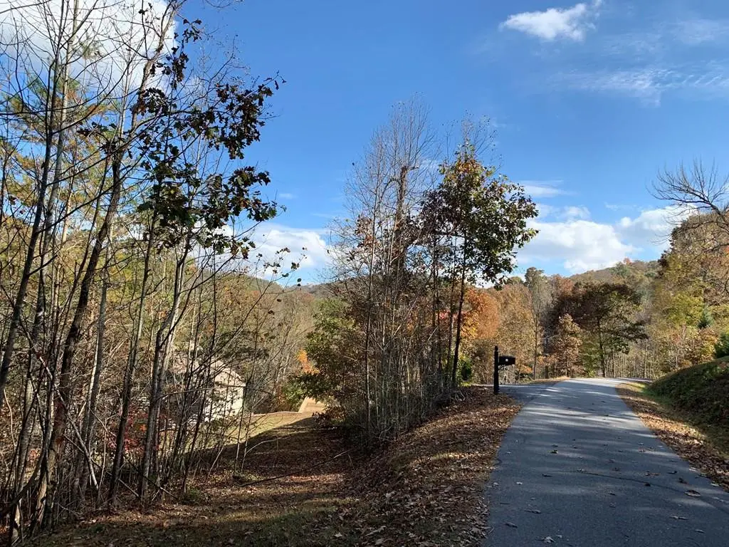 25&26 Mountain Knoll Lane, Warne, NC 28909 - #1