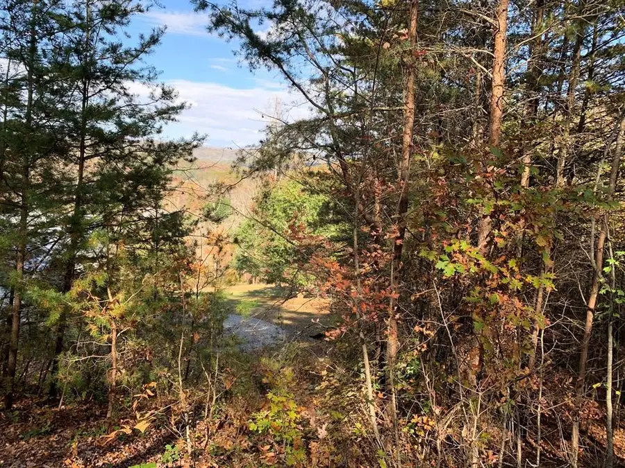 25&26 Mountain Knoll Lane, Warne, NC 28909 - #2