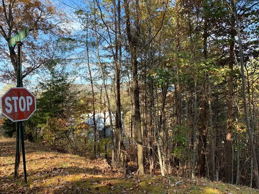 25&26 Mountain Knoll Lane, Warne, NC 28909 - #3