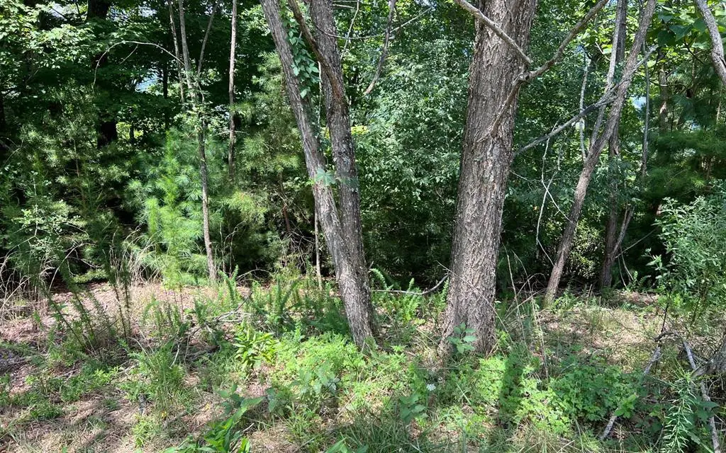 Lot 59 Fires Creek Cove, Hayesville, NC 28904 - #1