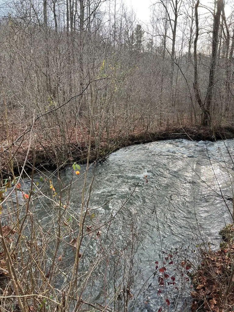 Lots 9, 10, 11, 15 & 17 Mary Lane, Hayesville, NC 28904 - #2