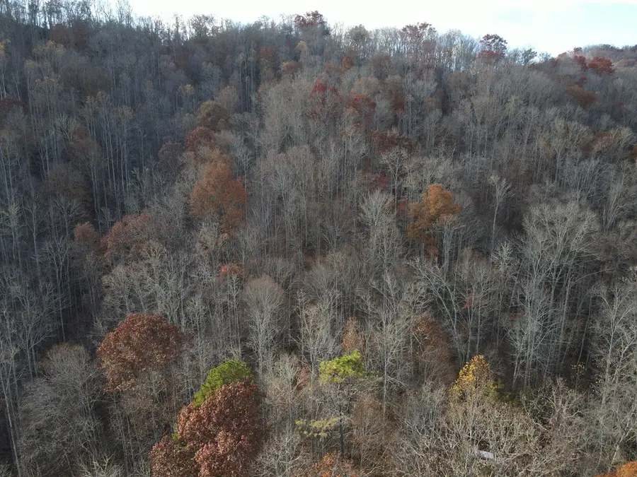 SR 1218 Pinhook Road, Robbinsville, NC 28771 - #3