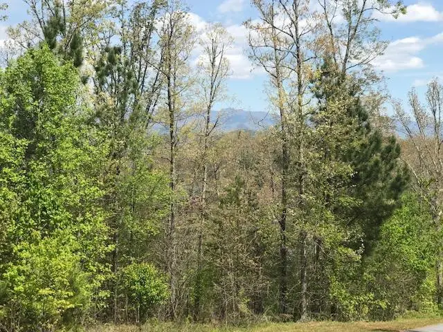 Lot 29 Brasstown View Road, Murphy, NC 28906 - #1