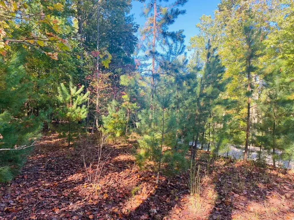 Lot 34 Point Overlook Trail, Murphy, NC 28906 - #1