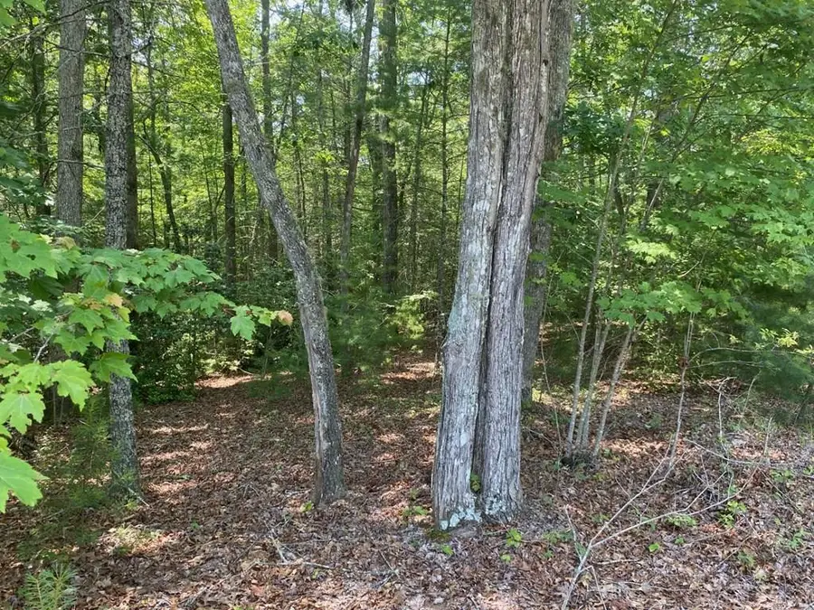 Lot 34 Point Overlook Trail, Murphy, NC 28906 - #3