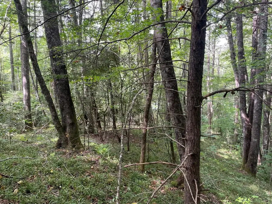 24 Old Faber Road Glen Hay, Topton, NC 28781 - #3