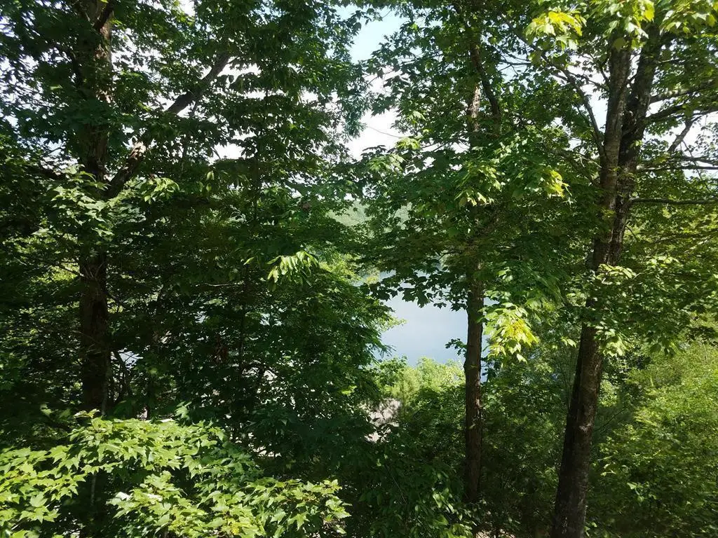 Lot 43 Kestrel Ridge Circle, Murphy, NC 28906 - #1