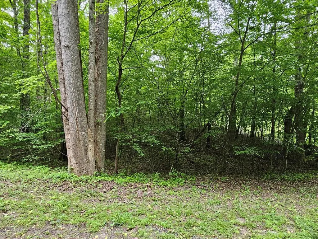 17 Lonesome Pine, Murphy, NC 28906 - #1