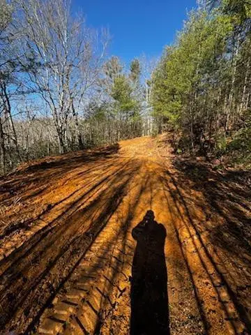 Lot 16 Paradise, Marble, NC 28905 - #2
