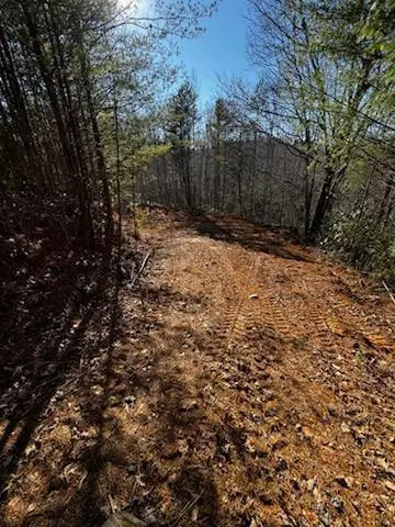 Lot 16 Paradise, Marble, NC 28905 - #3