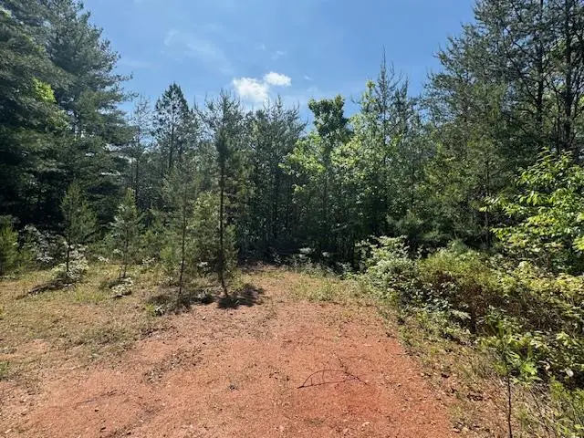 Lot 9 Paradise, Marble, NC 28905 - #1