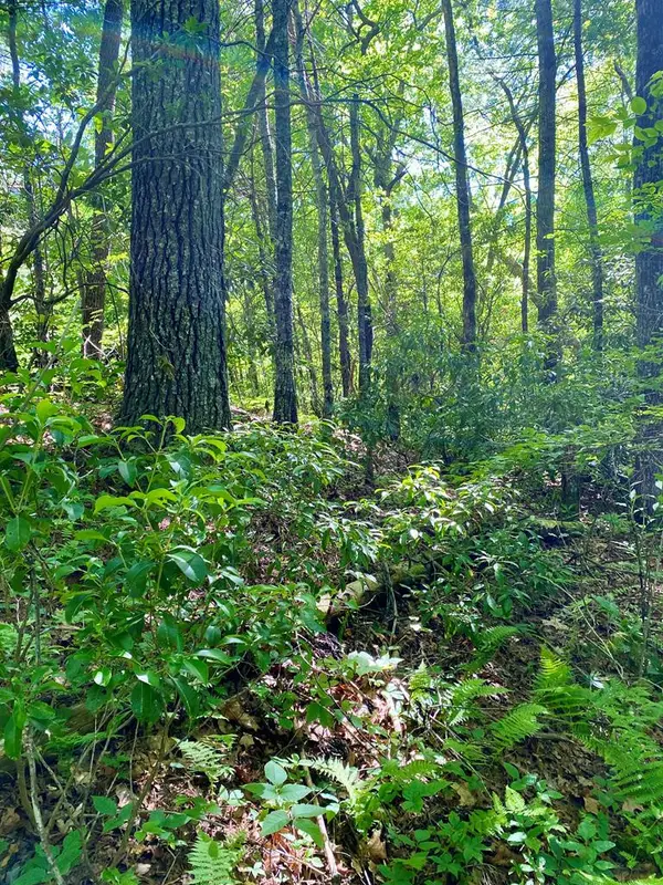 00 Deer Run, Robbinsville, NC 28771
