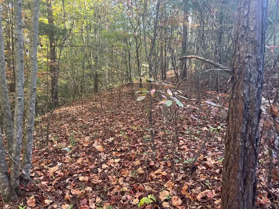 Lot 23 Trailblazer Way, Murphy, NC 28906 - #2