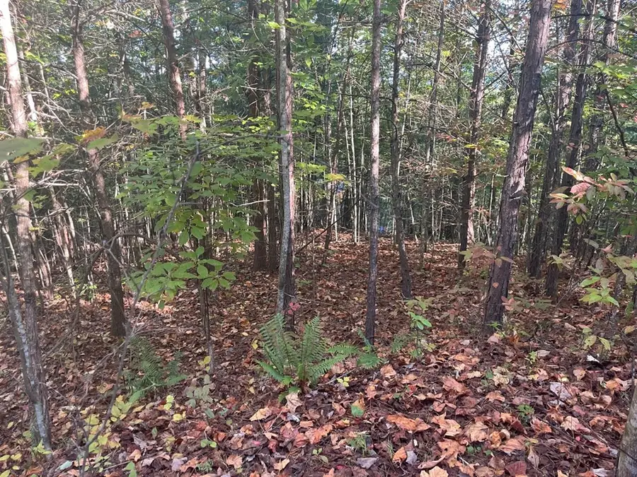 Lot 23 Trailblazer Way, Murphy, NC 28906 - #3