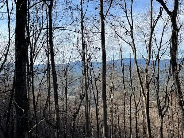 Lot 73 Hidden Treasure, Murphy, NC 28906