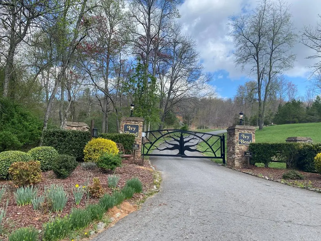 Lot 62 Jitterbug Lane, Murphy, NC 28906 - #1