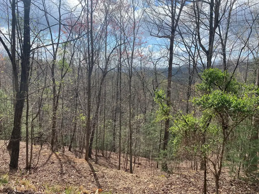 Lot 62 Jitterbug Lane, Murphy, NC 28906 - #2
