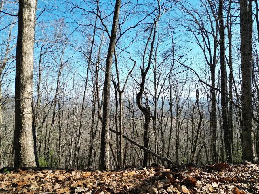 20.05 ac Treehouse Trail, Murphy, NC 28906 - #2